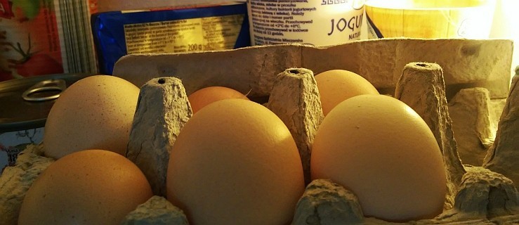 Jaja skażone z salmonellą mogą być w twojej lodówce. Sprawdź! - Zdjęcie główne