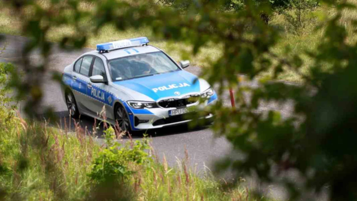 Śmierć przy drodze w Jarocinie. Policja ustala tożsamość ofiary