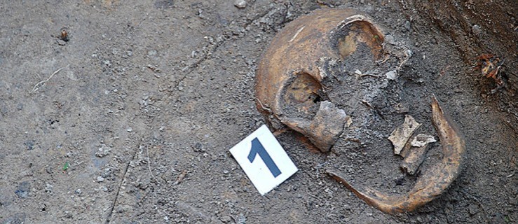 Wiemy, do kogo należała czaszka odkopana w kościele - Zdjęcie główne