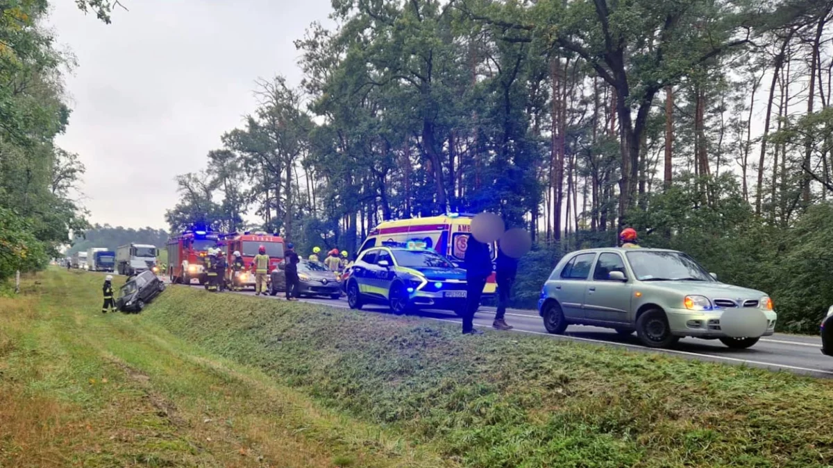 Cztery samochody zderzyły się na DK 11. Ruch odbywa się wahadłowo - Zdjęcie główne