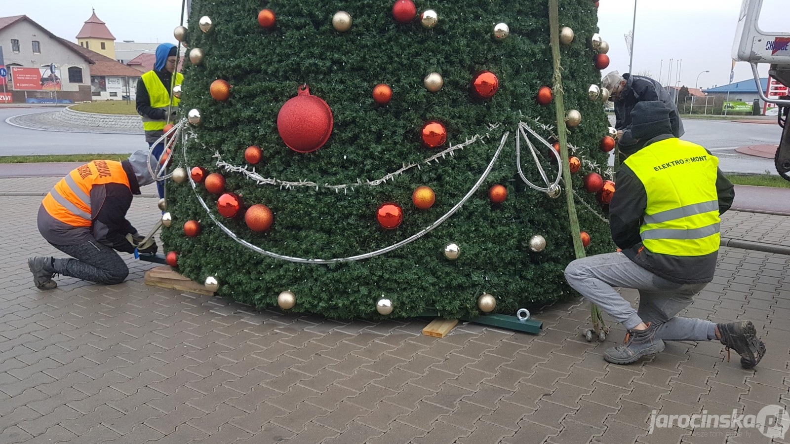 Jarocin. Ustawianie bożonarodzeniowej choinki na rondzie w Jarocinie - Zdjęcie główne