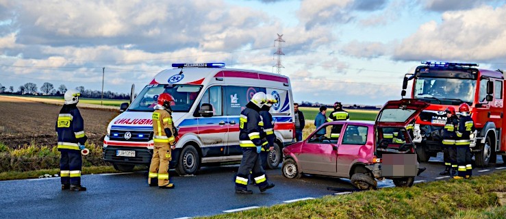 Uwaga na dzikie zwierzęta! Jeden wypadek i kilkadziesiąt kolizji  - Zdjęcie główne