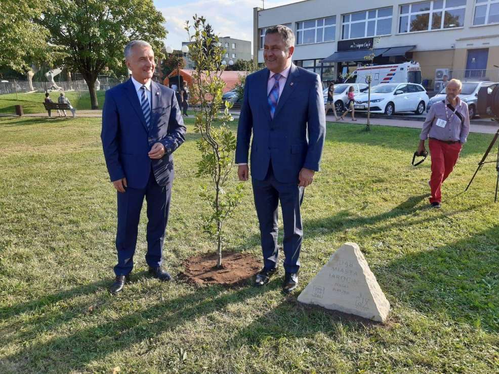 Posadzili dąb na znak współpracy Jarocina i Opoczna 