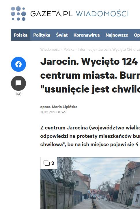 Wycięte drzewa w Jarocinie na ustach całej Polski. O sprawie mówią największe media w kraju 