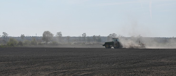 Szkolenia z wypełniania wniosków  - Zdjęcie główne