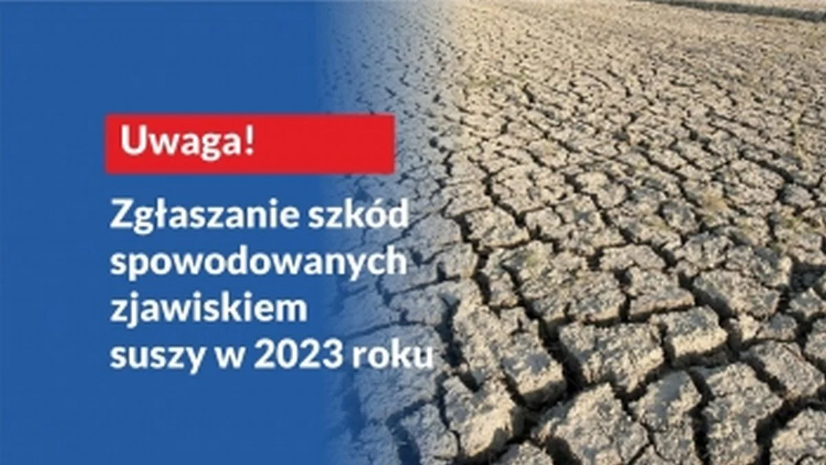 Masz szkody na swoim polu związane z suszą? Koniecznie je zgłoś! - Zdjęcie główne