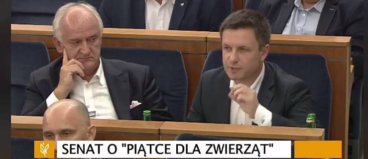 Prezes Zakładów Mięsnych Biernacki mówi w senacie o piątce dla zwierząt - Zdjęcie główne