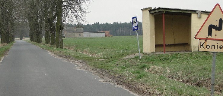 W gminie Żerków autobusy nie będą się ścigały - Zdjęcie główne