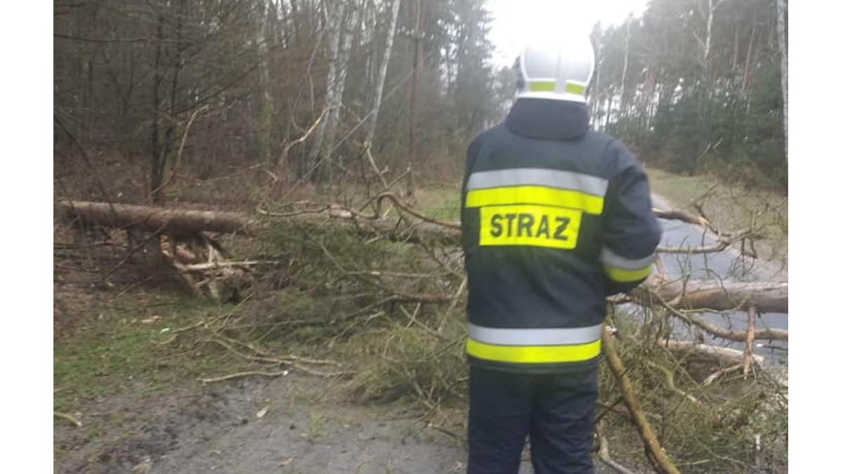 Strażacki raport. Najczęściej jechali do szpitala. Jedna osoba nie żyje  - Zdjęcie główne