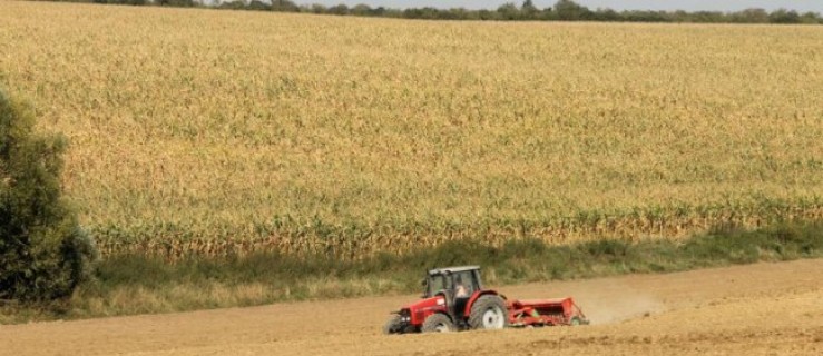 CETA zniszczy polskie rolnictwo? - Zdjęcie główne