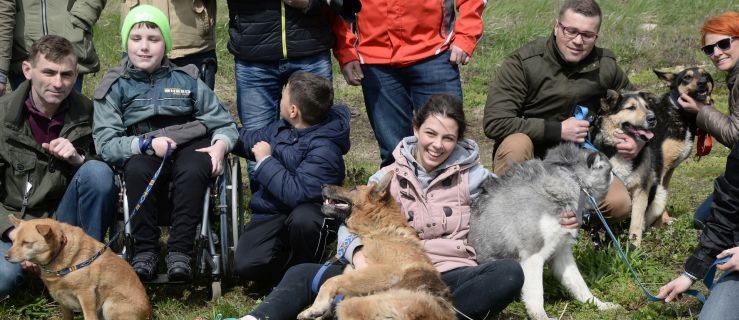 Zabrali psy na spacer i zrobili zdjęcia. Piękne zdjęcia [ZOBACZCIE]   - Zdjęcie główne