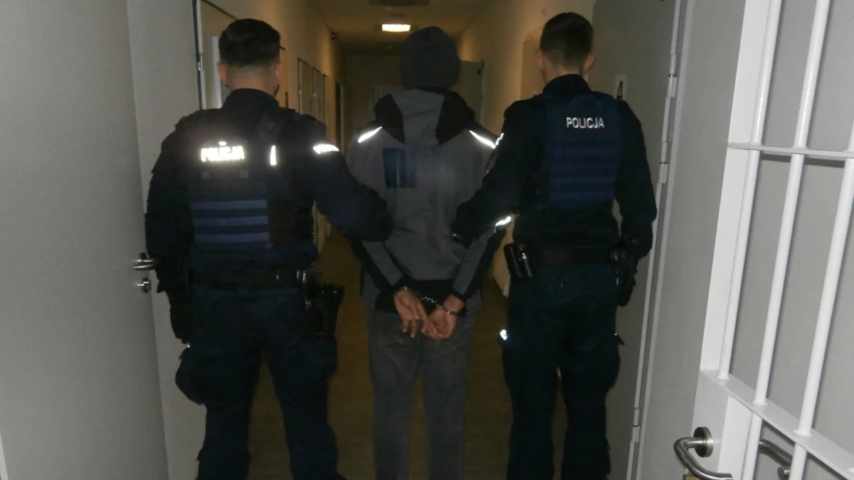 Pijany Gruzin z kryminalną przeszłością uciekał przed policją. Wszczęto procedurę deportacyjną