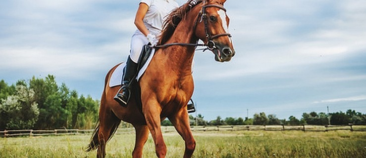 Jechał na koniu wierzchem. Potrącił rowerzystkę  - Zdjęcie główne
