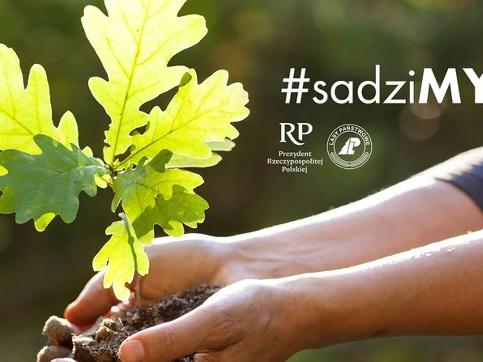 Ogólnopolska akcja #sadziMY również w Jarocinie. Dziś i jutro można otrzymać drzewko - Zdjęcie główne