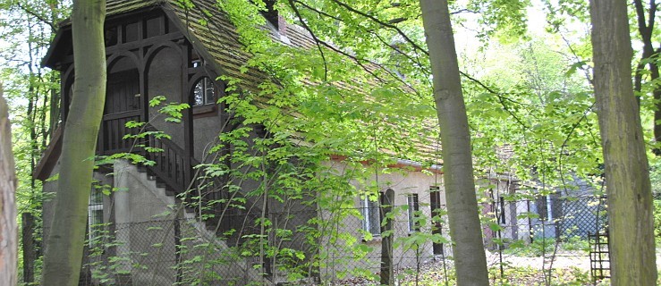 Dom Ogrodnika i inne budynki w parku oddane w dzierżawę - Zdjęcie główne