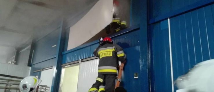 Pożar w zakładzie przetwórczym w Jarocinie. Pracownicy opanowali żywioł   - Zdjęcie główne