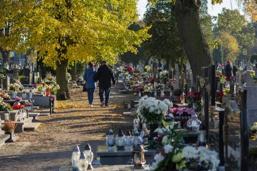 Kradł na jarocińskich cmentarzach. Sąd wydał wyrok - Zdjęcie główne