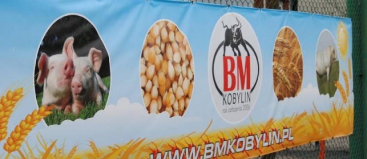 BM Kobylin ma około 233 milionów długu - Zdjęcie główne