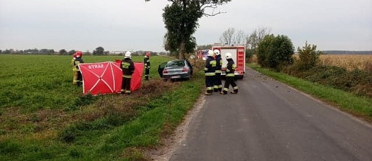 Auto osobowe uderzyło w drzewo. Kierowca nie żyje     - Zdjęcie główne