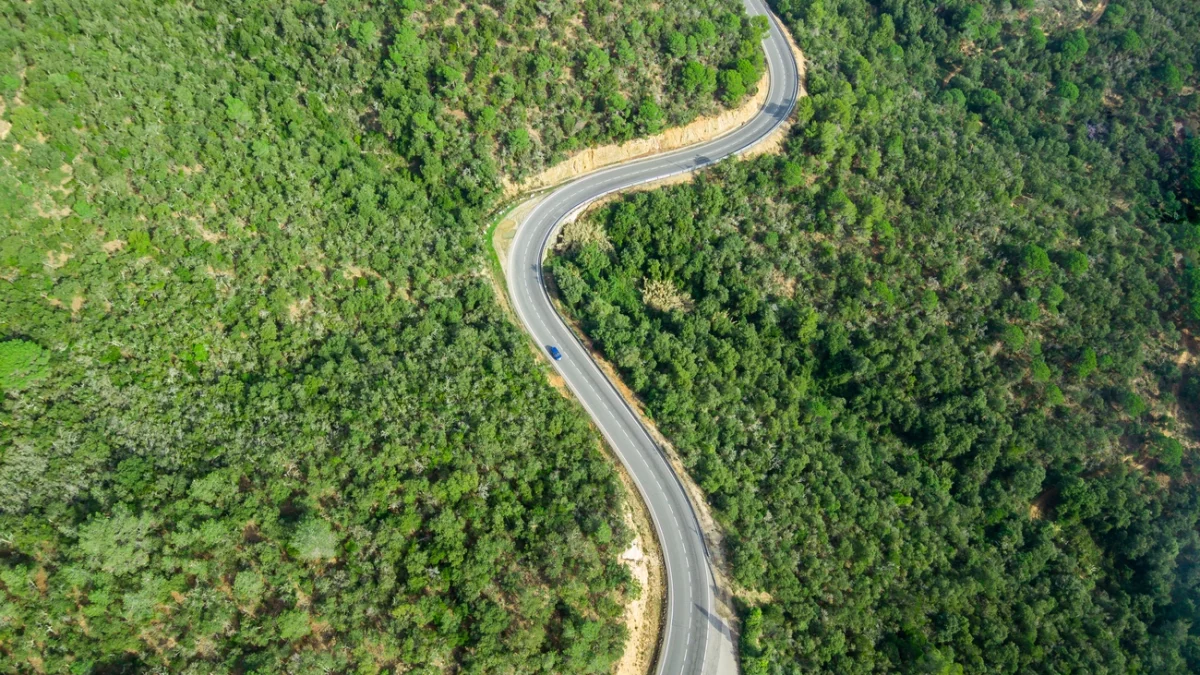 Lubisz drogi z malowniczymi widokami? Poznaj te najpiękniejsze trasy w Polsce!