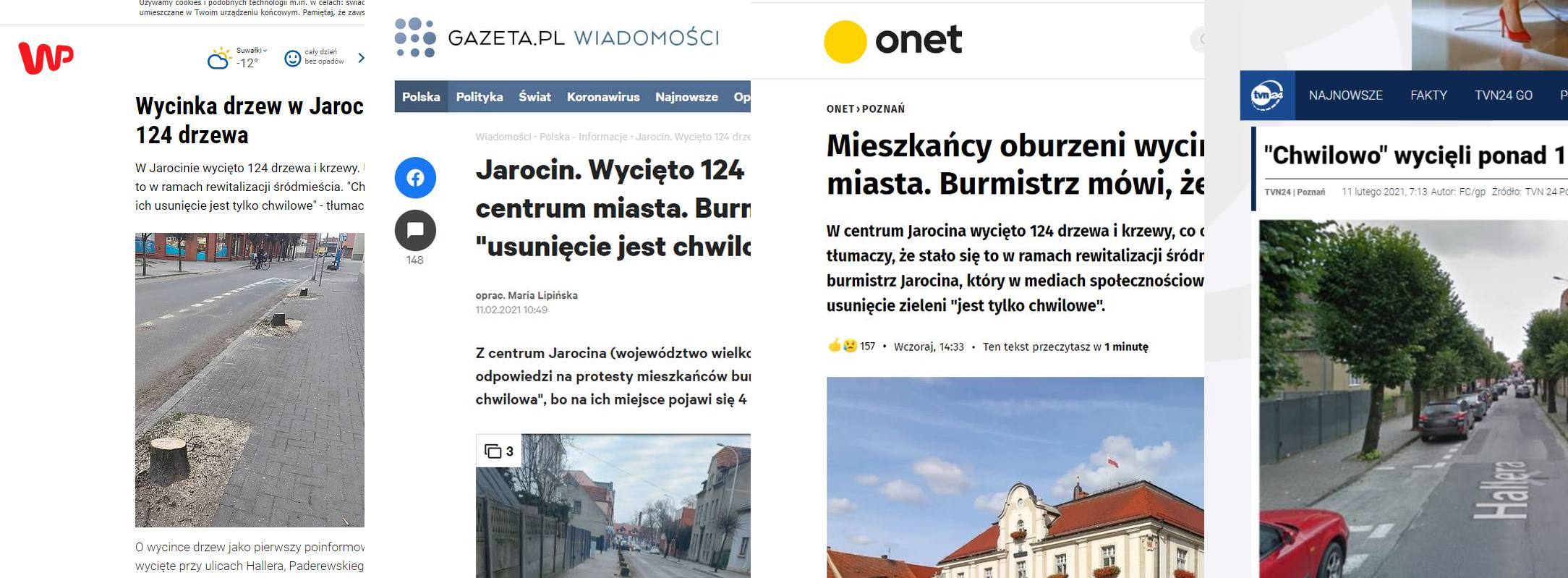 Wycięte drzewa w Jarocinie na ustach całej Polski. O sprawie mówią największe media w kraju 