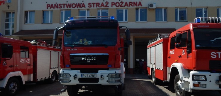 Kilka zastępów straży wjechało do lasu - Zdjęcie główne