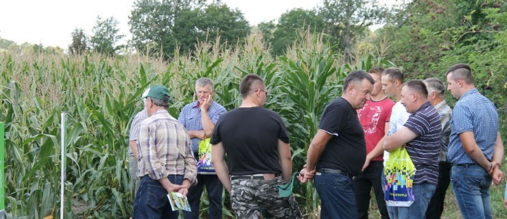 Dzień kukurydzy w południowej Wielkopolsce - Zdjęcie główne