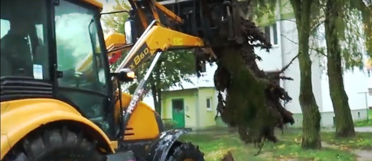 Sprzątanie po orkanie Ksawerym [WIDEO] - Zdjęcie główne