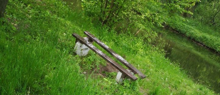 Zniszczone ławki w parkach. Urząd apeluje [GALERIA] - Zdjęcie główne