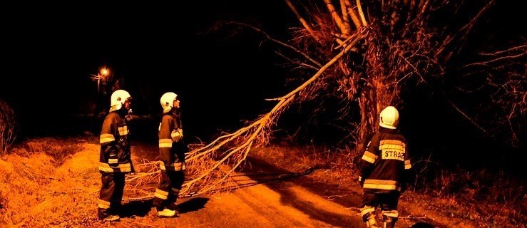 Powalone drzewo, zalane posesje i piwnice     - Zdjęcie główne