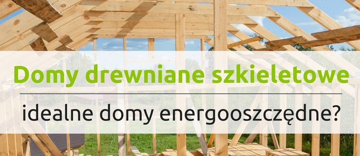 Domy drewniane szkieletowe – idealne domy energooszczędne? - Zdjęcie główne