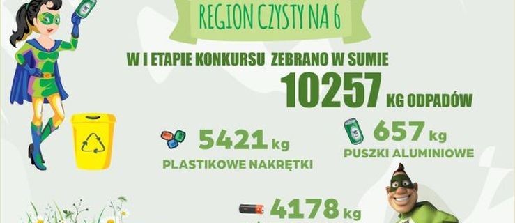 Konkurs Region czysty na 6. Zebrano ponad 10 ton odpadów. Kto prowadzi? - Zdjęcie główne