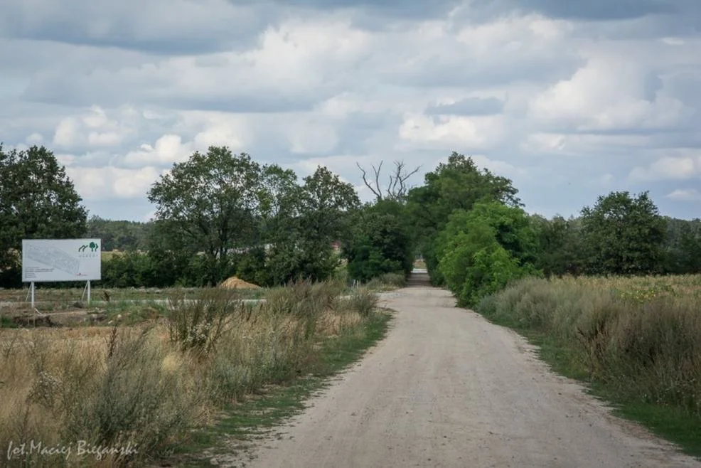 Łącznik między Jarocinem a Wilkowyją
