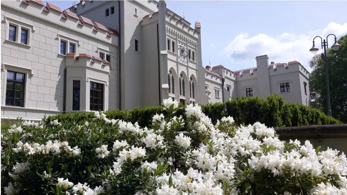 Jak ściągnąć turystów do Jarocina i okolic? Masz pomysł, przyjdź na spotkanie