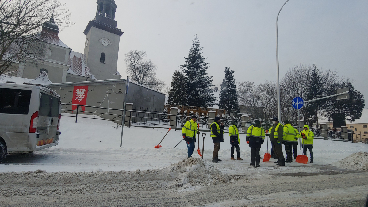 Jest ich dziesięciu. Dostali łopaty i odśnieżają przejścia dla pieszych  - Zdjęcie główne