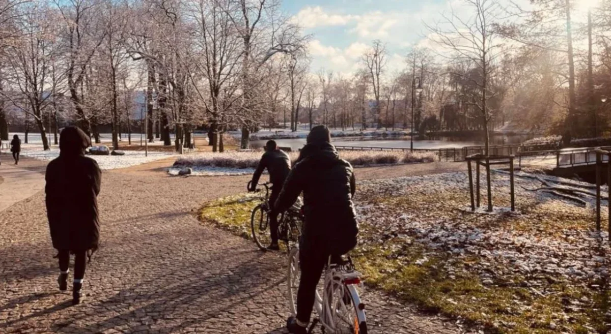 Trwają prace ziemne na terenie jarocińskiego parku i nie tylko. Urząd miejski apeluje o ostrożność - Zdjęcie główne