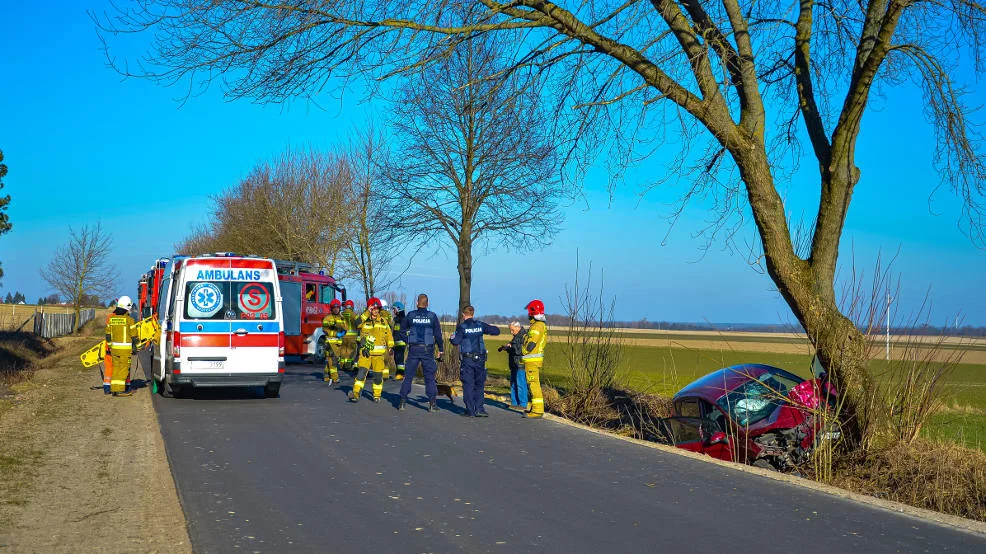 Zdarzenie drogowe w Żerkowie. Zderzenie z drzewem
