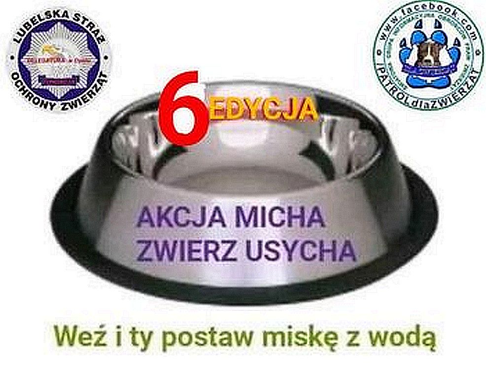 Akcja Micha Zwierz Usycha. Pomóż zwierzętom, to proste! - Zdjęcie główne