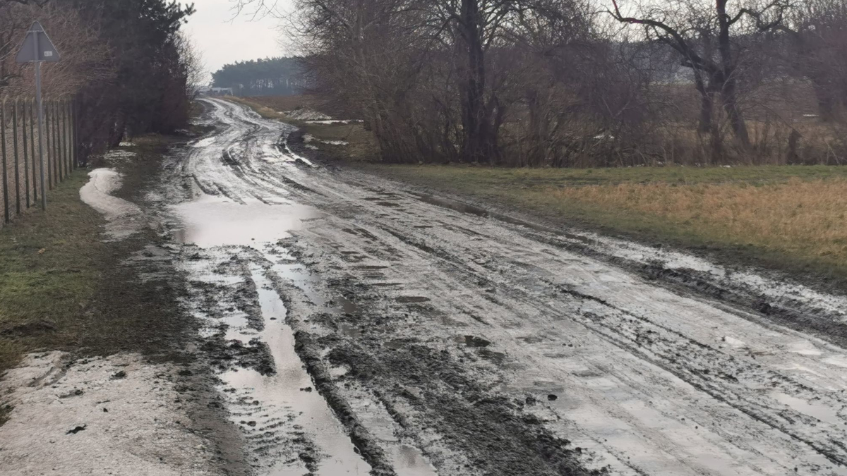 Gmina Jarocin. Mieszkańcy apelują o utwardzenie drogi - Zdjęcie główne