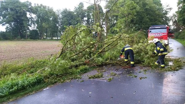 Burza przeszła nad powiatem jarocińskim. Powalone drzewa, uszkodzony dach domu - Zdjęcie główne