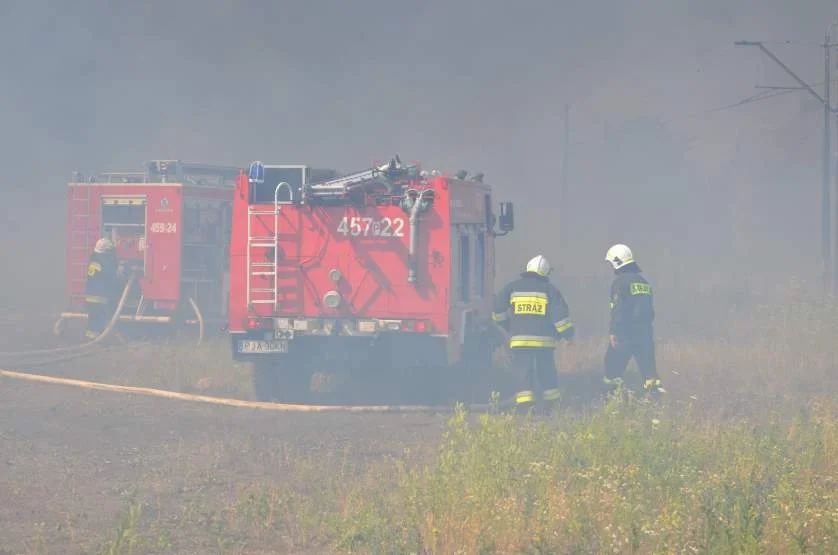 Zaczęły się niebezpieczne pożary traw. Żywioł gwałtownie się rozprzestrzenia. Już są ofiary śmiertelne [ZDJĘCIA] 1 - Zdjęcie główne