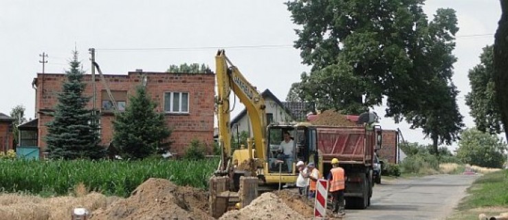 Pieńki stoją, jak bukiety - Zdjęcie główne