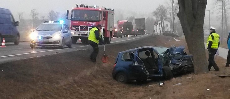 Wypadek na DK 11. Auto zjechało z drogi. Poszkodowani - Zdjęcie główne