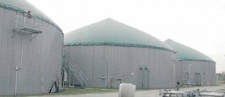 W Golinie może powstać biogazownia  - Zdjęcie główne