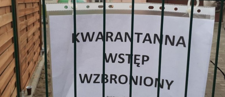 Żłobek zamknięty. Wszyscy na kwarantannie - Zdjęcie główne