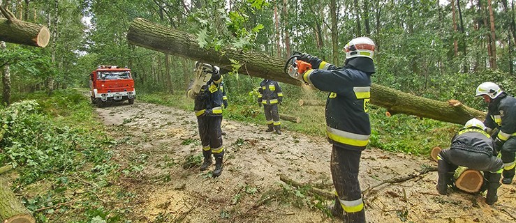 Uproszczone procedury i pieniądze na odszkodowania - Zdjęcie główne