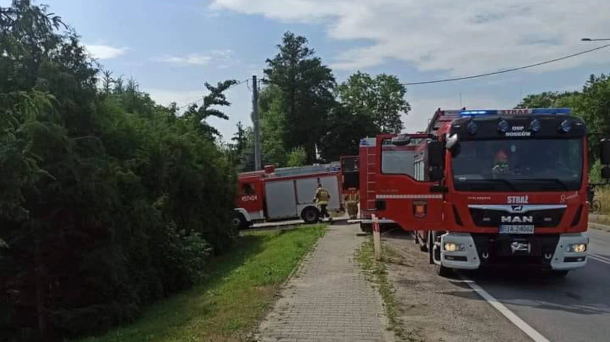 W Brzostowie zapaliło się wyposażenie domu jednorodzinnego. Strażacy na miejscu [AKTUALIZACJA] - Zdjęcie główne