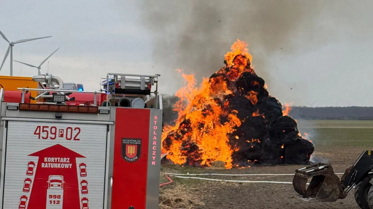 Pożar stogu słomy. Strażacy w akcji