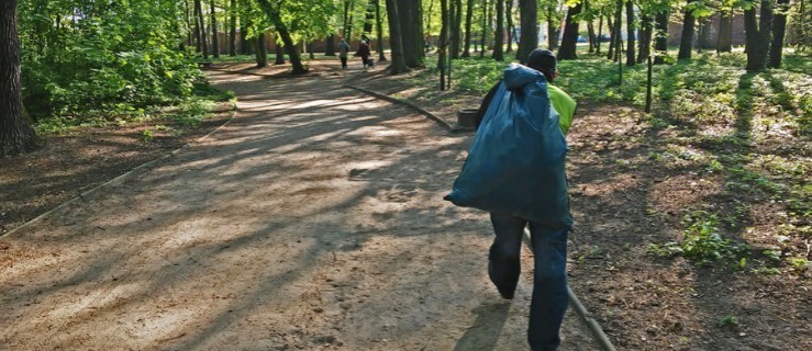 Plener wykluczony. Cięciem w parku zajmie się firma z... - Zdjęcie główne