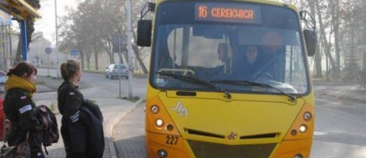Darmowa przejażdżka autobusem zamiast tulipana? - Zdjęcie główne
